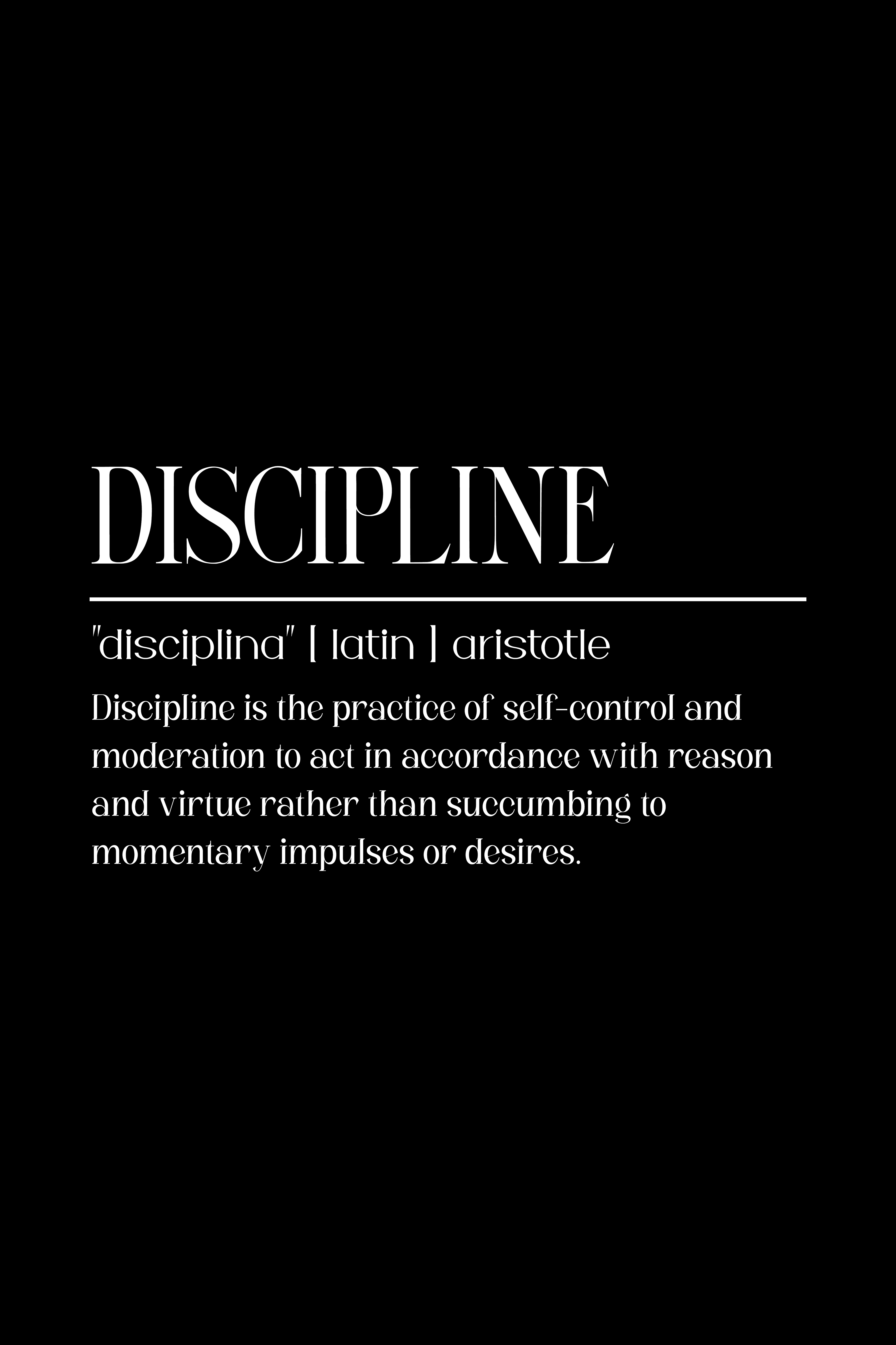 Discipline 2 metal poster artwork